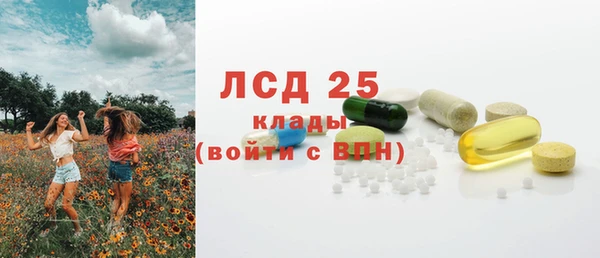 PSILOCYBIN Алзамай