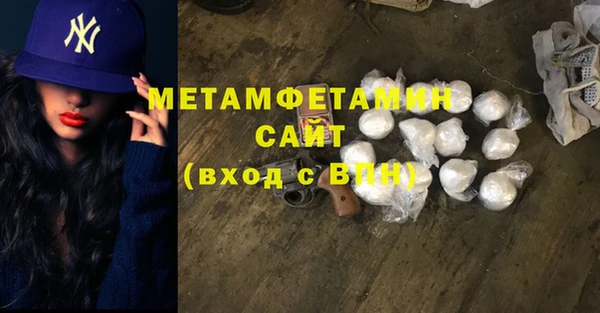 индика Алексин
