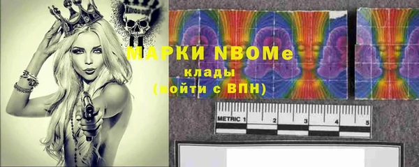индика Алексин